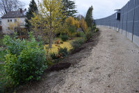 „Auftrag erfüllt!“ Bepflanzung an der Lärmschutzwand in Waltershofen abgeschlossen